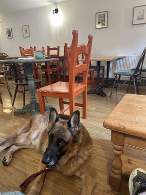   at Thrive in Cambridge