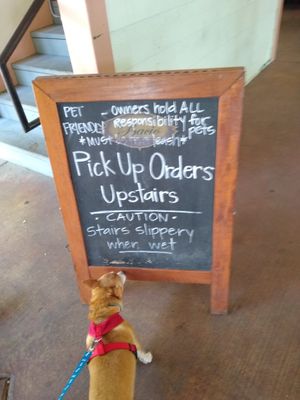 Pet friendly at McClain's Pizzeria in Mandeville