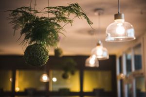 L'interno at Sottobosco in Grosseto