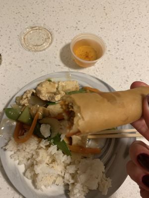 Coconut tofu and spring roll  at Grasshopper Restaurant in Boston