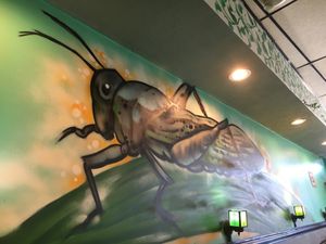  at Grasshopper Restaurant in Boston