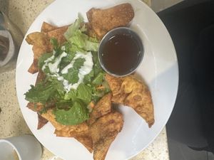 Wontons!!!  at Grasshopper Restaurant in Boston