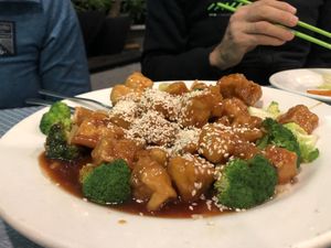 Orange chicken at Grasshopper Restaurant in Boston