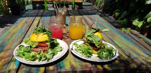 Best burgers 🧡💛💜☀️ at VeggieDick in Mikulov