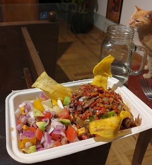Dúo Caribe at Mundo Vegano in Bogota