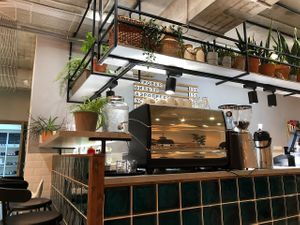 Bar at PLANTS & FRIENDS in Sochi