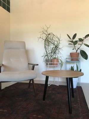 interior of the cafe  at PLANTS & FRIENDS in Sochi