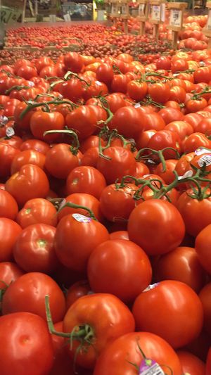 Tons of tomatoes at Central Market in Dallas
