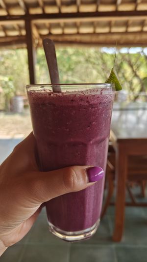  at Bumi Langit Permaculture Institute in Yogyakarta