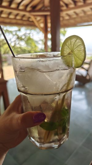 at Bumi Langit Permaculture Institute in Yogyakarta