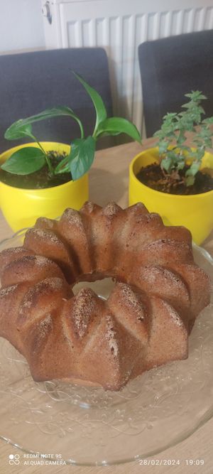 Homemade vegan lemon cake at Tropicanna in Samos