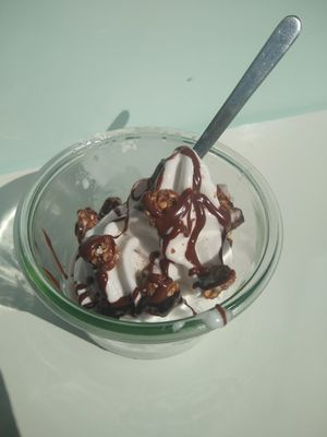 Small size with two toppings at Vegetal Yogurt in Capbreton
