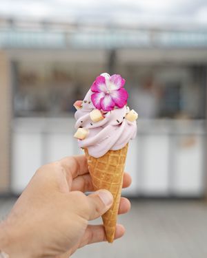  at Vegetal Yogurt in Capbreton