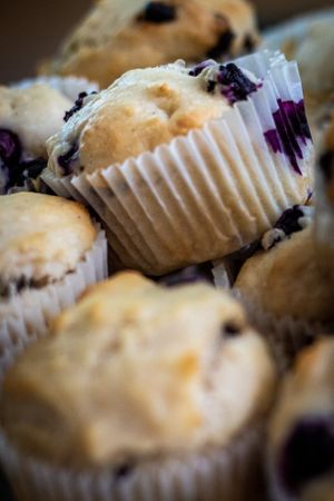Sugar-free blueberry muffins. at Haverhill Vegan Bakery in Lake Park