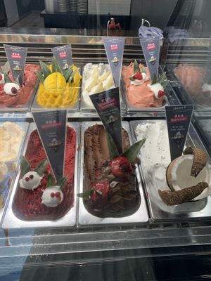 Vegan sorbet selection  at Palazzo Sandro in Trier