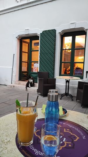  at Beli's Vegan Bistro in Szekesfehervar