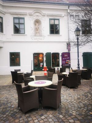  at Beli's Vegan Bistro in Szekesfehervar