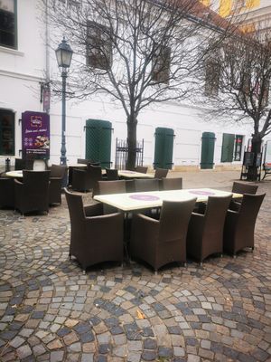  at Beli's Vegan Bistro in Szekesfehervar