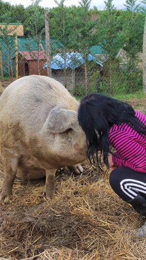 Barbara e Luna #Veganuary at Rifugio Alma Libre in Piano Di Mommio