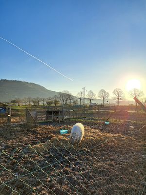  at Rifugio Alma Libre in Piano Di Mommio