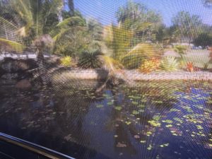 View from table  at Getaway Garden Cafe in Agnes Water