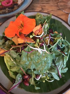 Switi  at COCO in Rotterdam