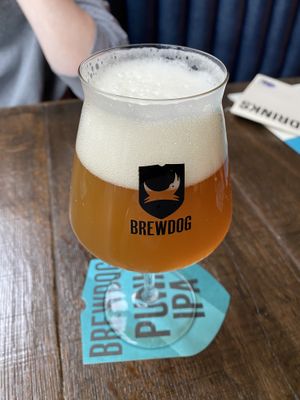   at BrewDog in Rotterdam