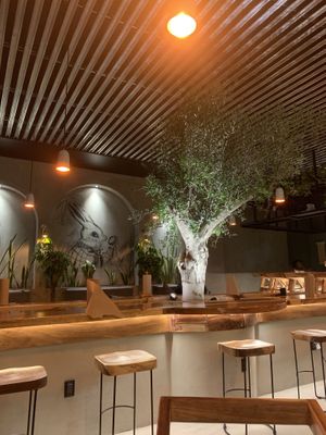   at Funky Rabbit in Queretaro