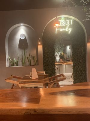   at Funky Rabbit in Queretaro