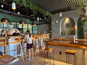   at Funky Rabbit in Queretaro