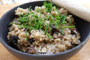 42 Degrees Raw at 42°Raw in Copenhagen