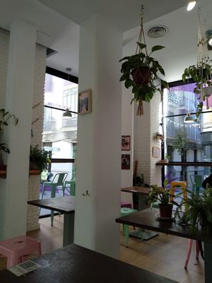 Interior at Almalibre Açaí House in Madrid