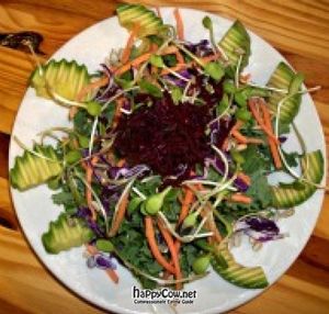 2164 Kale Salad at Veg in Sarasota