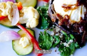 Portabella Volcano at Veg in Sarasota