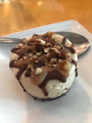 Turtle cashew cheesecake at Veg in Sarasota