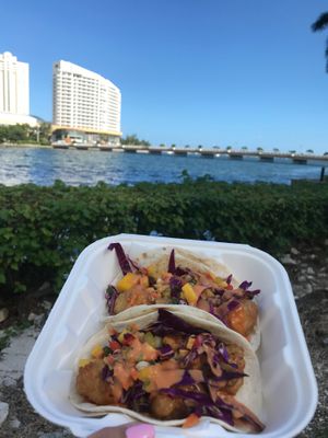 We have Vegan Tacos! You can make them with vegan shrimp, vegan chick’n or cauliflower sautéed in a sweet agave sauce! at Organic Food Kings in Miami