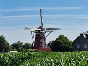 the shop is located in this mill at Bio Veganwinkel Natuurlijk De Molen in Budel-schoot
