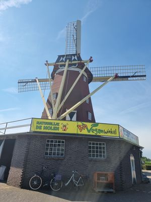 the shop is located in this mill at Bio Veganwinkel Natuurlijk De Molen in Budel-schoot