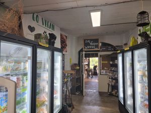 freezers in hallway at Bio Veganwinkel Natuurlijk De Molen in Budel-schoot