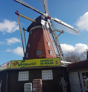 Entrance of the Bio Vegan Winkel at Bio Veganwinkel Natuurlijk De Molen in Budel-schoot