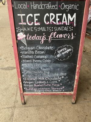 Four vegan flavors at the bottom   at Cream Bean Berry in Durango