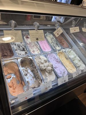 4 vegan flavors!  at Cream Bean Berry in Durango