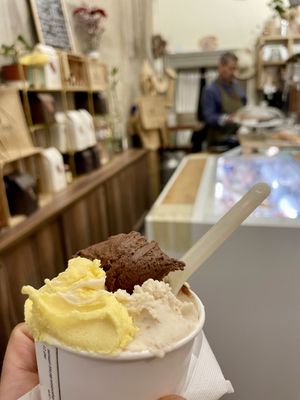   at La Gelatiera in Florence