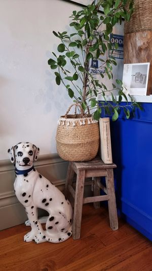  at My Green Pastry in Porto