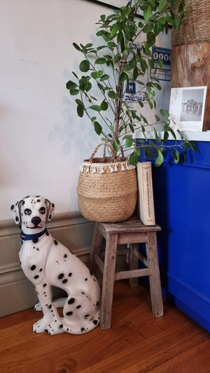  at My Green Pastry in Porto