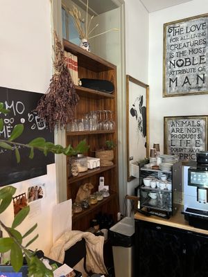  #Veganuary at My Green Pastry in Porto