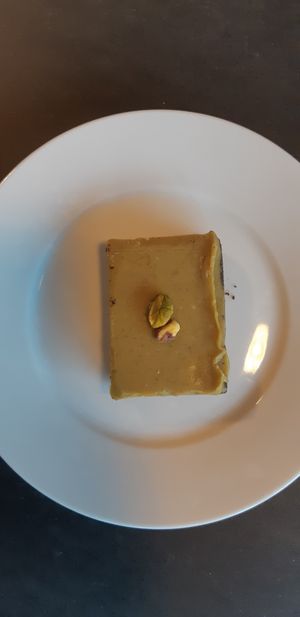 Pistachio at Contribution in Louvain-la-neuve