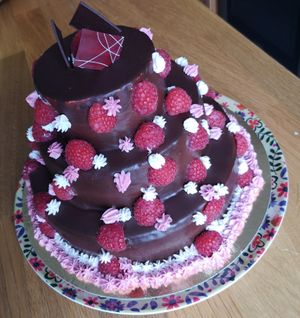 Chocolate cake for 20 persons at Contribution in Louvain-la-neuve