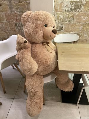 Lilo bear  at Lilo Cafe in Barcelona
