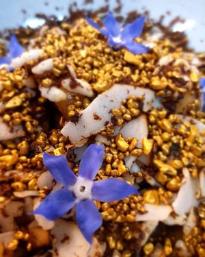 Vegan dessert  at Gavino Restaurante Bar in Funchal